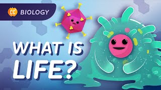 Introduction to Biology Crash Course Biology 1 [upl. by Eppillihp231]