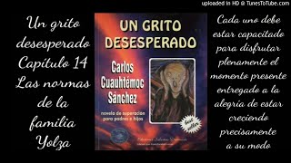 Capítulo 14 Un grito desesperado [upl. by Alletsyrc]