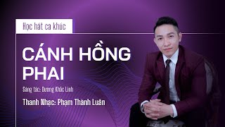 Học hát quotCánh Hồng Phaiquot  Phạm Thành Luân [upl. by Botsford30]