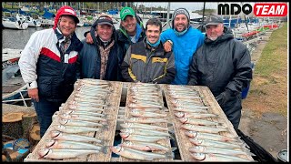 PESCA DE RIO  PEJERREY EN EL RIO DE LA PLATA [upl. by Aklam]