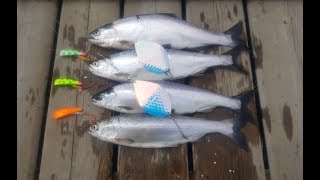 Ten Mile Lake BC and Brads Kokanee Cut Plugs [upl. by Elmira607]