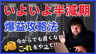 【いよいよ半減期🔥】【超大事】〜今回の半減期は過去とは違う〜今必ず「これ」をやって！半減期直前超重要な爆益計画を完全暴露BTCHalving アルトコイン＃ビットコイン [upl. by Yenetruoc430]