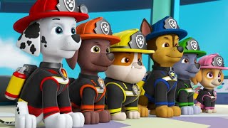 PAW PATROL Ultimate Rescue PUPS STOP the FIRE [upl. by Eartha]