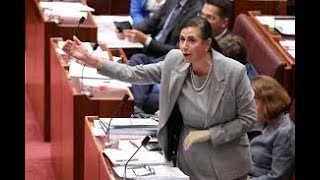 Senator Concetta FierravantiWells Adjournment Speech 1 September 2020 [upl. by Philo]