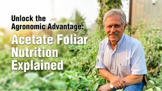 Unlock the Agronomic Advantage Acetate Foliar Nutrition Explained [upl. by Nerro]