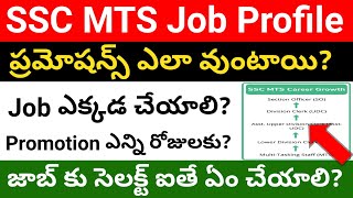 SSC MTS Job Profile  SSC Multi Tasking Staff Job profile in telugu  Job profile of MTS Job [upl. by Geirk850]