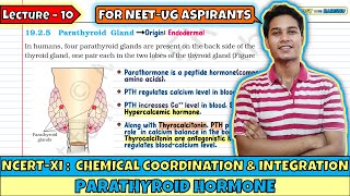 Lec 10 Parathyroid Glands  Chemical Coordination amp Integration  NEET  Class 11 [upl. by Tena]