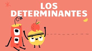 Los determinantes [upl. by Alvina]