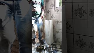 Bathroom Fitting Video  Plumbing work  Mondal Tech homewiring Plmbingworkytshorts [upl. by Lemahs725]