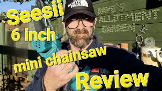 Seesii 6 inch Battery Powered Chainsaw Review and Test Daves Allotment Garden [upl. by Jonme]