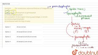 The evolutionary advanced features of Selaginella are a Heterospory b Endosporic development [upl. by Riley149]