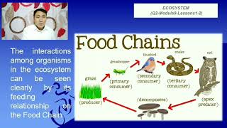 ECOSYSTEMS Interactions Among Living Things in Filipino [upl. by Atiniv]