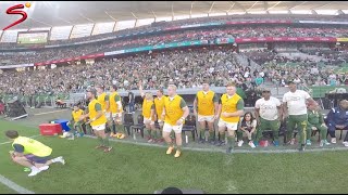 We put a GoPro on our cameraman for the third Springboks vs Wales Test 📹 [upl. by Dragone]