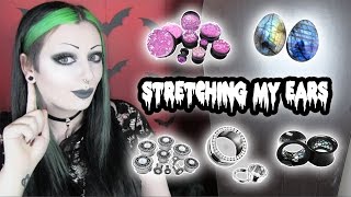 Stretching My Ears Again  Urban Body Jewelry Review  Toxic Tears [upl. by Durstin]