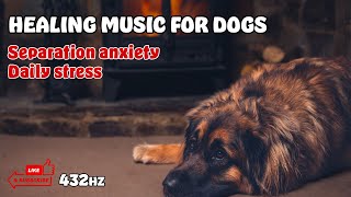 Dog Relaxing Music 432HZ Anti Anxiety and Stress PART 4 [upl. by Ihcas263]