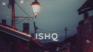 ISHQ SONG  lofi song। music [upl. by Acinimod]