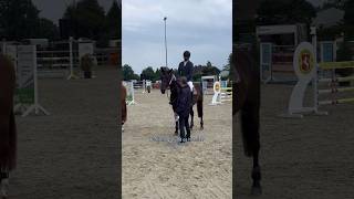 Eine L Platzierung noch zur Leistungsklasse 4 🎉 Turnier FMA pferde springreiten reitsport [upl. by Shaefer713]