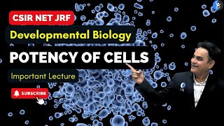 L2  Potency of Cells I Developmental Biology I CSIR JUNE 2024 [upl. by Aikrahs]