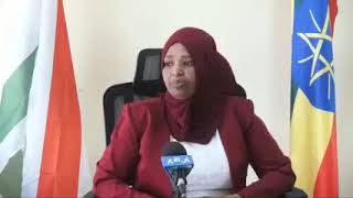 Qonna Magaalaa Biiroo Misooma Qonnaa NHarariitiin [upl. by Aisha]