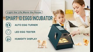 WONEGG Digital House 10 Eggs Incubator [upl. by Yuhas275]