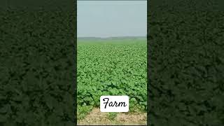 Kaash by kanth kaaler Statuspunjabi music newsong youtube punjabisong farm farmer shortsfeed [upl. by Enrak]