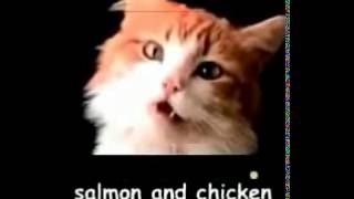 Meow Mix Singing Cat Commercial Slow Motion [upl. by Jordain]