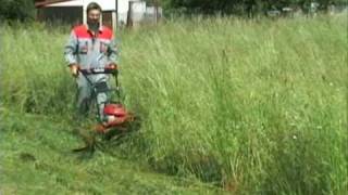 VARI ADELA BDR 595 bubnová sekačka  drum mower  Trommelmäher  Дисковая косилка [upl. by Ylaek]