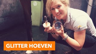 Glitter hoeven maken  PaardenpraatTV [upl. by Riamo]