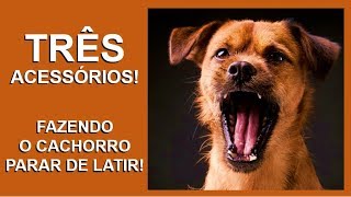 ☕ 3 ACESSÓRIOS Como Fazer o Cachorro Parar de Latir Parar de Chorar  Adestramento de Cães [upl. by Cris]