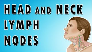 Lymph Nodes In The Neck  Occipital Auricular Cervical Submandibular and Submental nodes [upl. by Akere209]