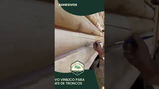 Lanzamiento Vinilico para Calafateo de troncos de cabañas [upl. by Diarmit]