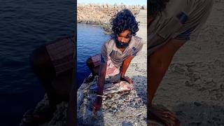 Young Man Using Big Fish to Catch Variety Fishes fishing fishingvideos thoondilulagam seafishing [upl. by Mcgannon709]