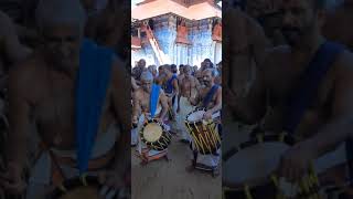 Tripunithura utsavam 2019  panchari melam  adantha vaka kottal  peruvanam kuttan maarar [upl. by Nnalyrehc]