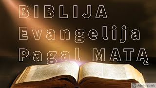 EVANGELIJA PAGAL MATĄ BIBLIJA [upl. by Yllime]