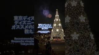 クリスマスの東京ディズニーシーで花火見るなら絶対ここだよ！ Shorts ディズニークリスマス [upl. by Berkie722]