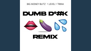 Dumb Dick Remix [upl. by Carolee361]