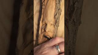 Wood Spirit carving in cottonwood bark Long form instructional video coming soon [upl. by Huberty]