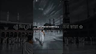 যৌবন তার আল্লাহর পথে বিলিয়ে দিয়েছে 💔🤲shorts videos foryou viral shortvideo Islamiccontent 😭 [upl. by Ainaled]