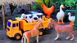 animal video horses matikata hamba cartoon videos tractor cattle abcd  Nov 3 20241014 AM [upl. by Akimak]