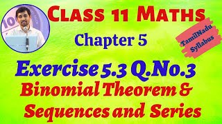 TN Class 11th Maths  Exercise 53 QNo3  Binomial Theorem Sequences and Series TN New Syllabus [upl. by Jacquet459]