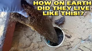 I was speechless when I saw what was living inside this Blocked Drain [upl. by Chelsie]