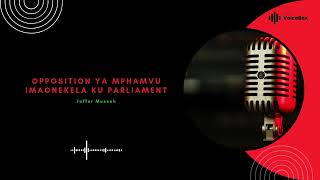 Opposition Mphamvu Imaonekela Ku Parliament  Jaffer Mussah [upl. by Oribella]