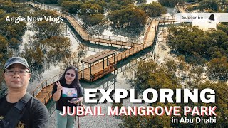 EXPLORING JUBAIL MANGROVE PARK ABU DHABI  UAE ATTRACTION 005 [upl. by Allehcram]