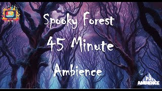 SPOOKY FOREST AMBIENCE  45 minutes with NO music [upl. by Rocher]