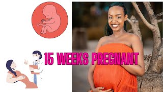 15 WEEKS PREGNANT WHAT TO EXPECT WEEK BY WEEK [upl. by Aay]