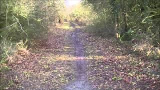 Stafford to Wellington disused railway Part 3 Update Dec 13 [upl. by Arthur940]