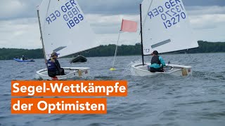 SegelWettkämpfe auf Schweriner See  28 Schweriner Marstall Cup 2024 [upl. by Ahsiakal]