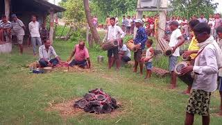 Tharu cultural HaReRi Pooja 2081 Sindura [upl. by Athallia]