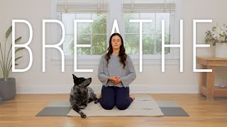 10 Minute Balancing Breathwork [upl. by Enahs]