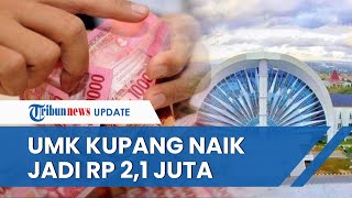 Catat UMK Kupang 2023 Naik Jadi Rp 21 Juta Perusahaan Diminta Taat Pengupahan Sesuai Aturan [upl. by Atiraj]